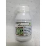 ยาแคปซูลสมุนไพร ผักคาวตอง (พลูคาว) บรรจุขวด 100 แคปซูล