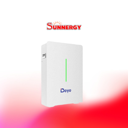 DEYE_RW-F10.6/51.2V/208AH/10.64KWH Wall Mounted