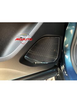 ครอบทวิสเตอร์และลำโพงข้างประตู FOCAL 3008 5008