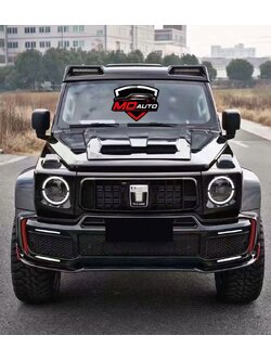 ชุดแต่ง TANK 300 รุ่น MC1 Style