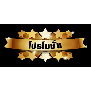 ชุดโปรโมชั่น