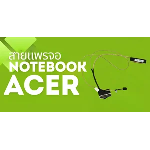 Acer