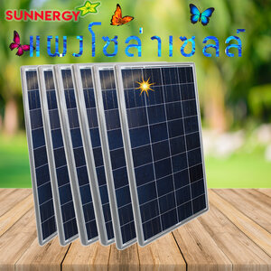 โซล่าเซลล์ซันเนอร์ยี่ 2023