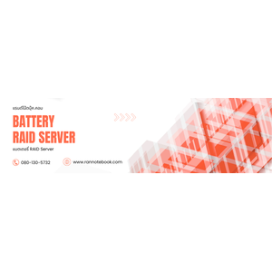 Battery RAID Server