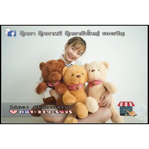 ตุ๊กตาขนนุ่ม ตัวนิ่ม