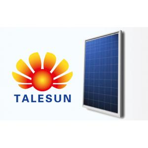 Talesunแผงโซล่าเซลล์