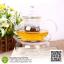 เตาอุ่นชา กาแฟ แก้วใส | Clear Glass Heat-Resistant Round Teapot Warmer