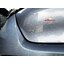 อักษร EV BYD DOLPHIN