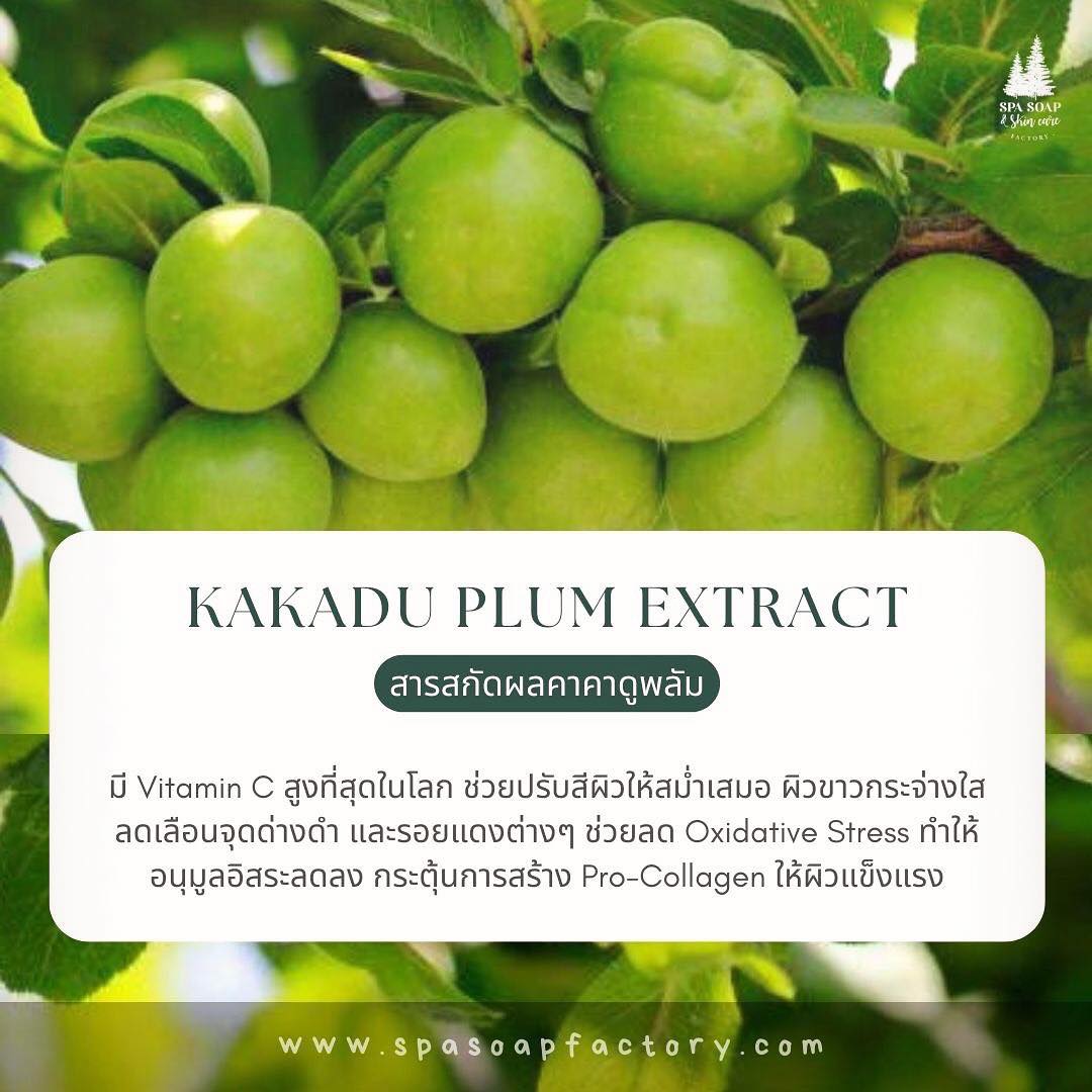 สารสกัดผลคาคาดูพลัม Kakadu Plum Extract