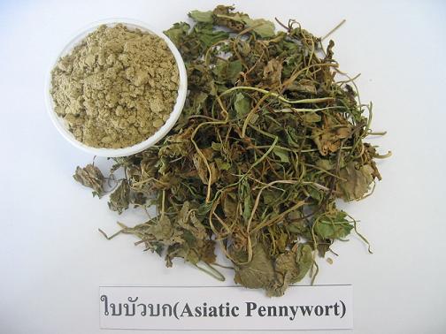 ผงใบบัวบก 50g
