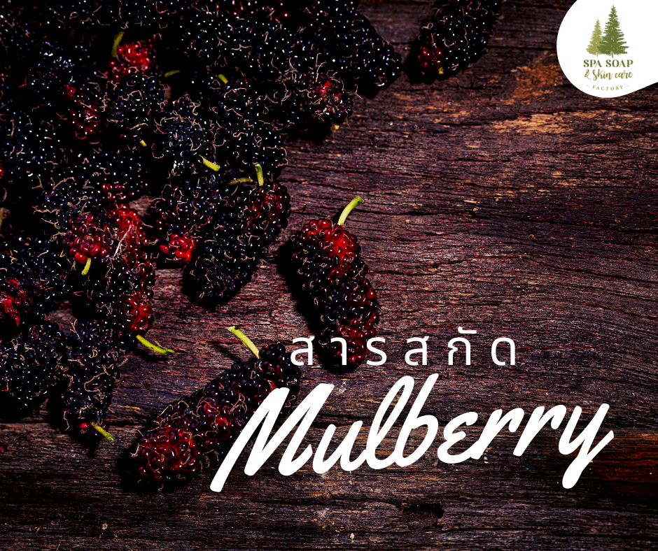 Mulberry Extract Mulberry Extract
