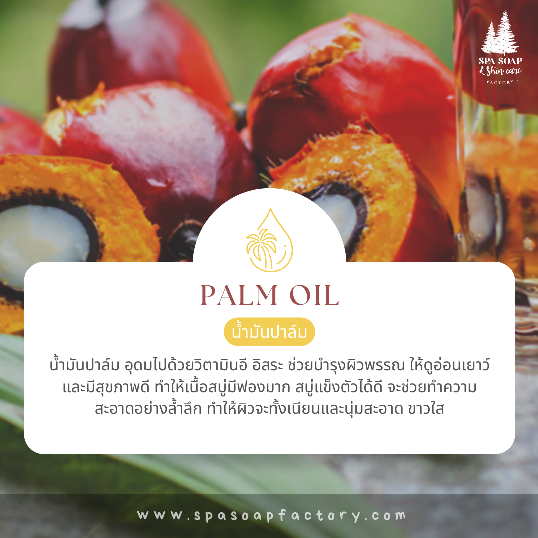 น้ำมันปาล์ม Palm oil - สบู่น้ำมัน Oil Soap น้ำมันปาล์ม Palm oil - สบู่น้ำมัน Oil Soap