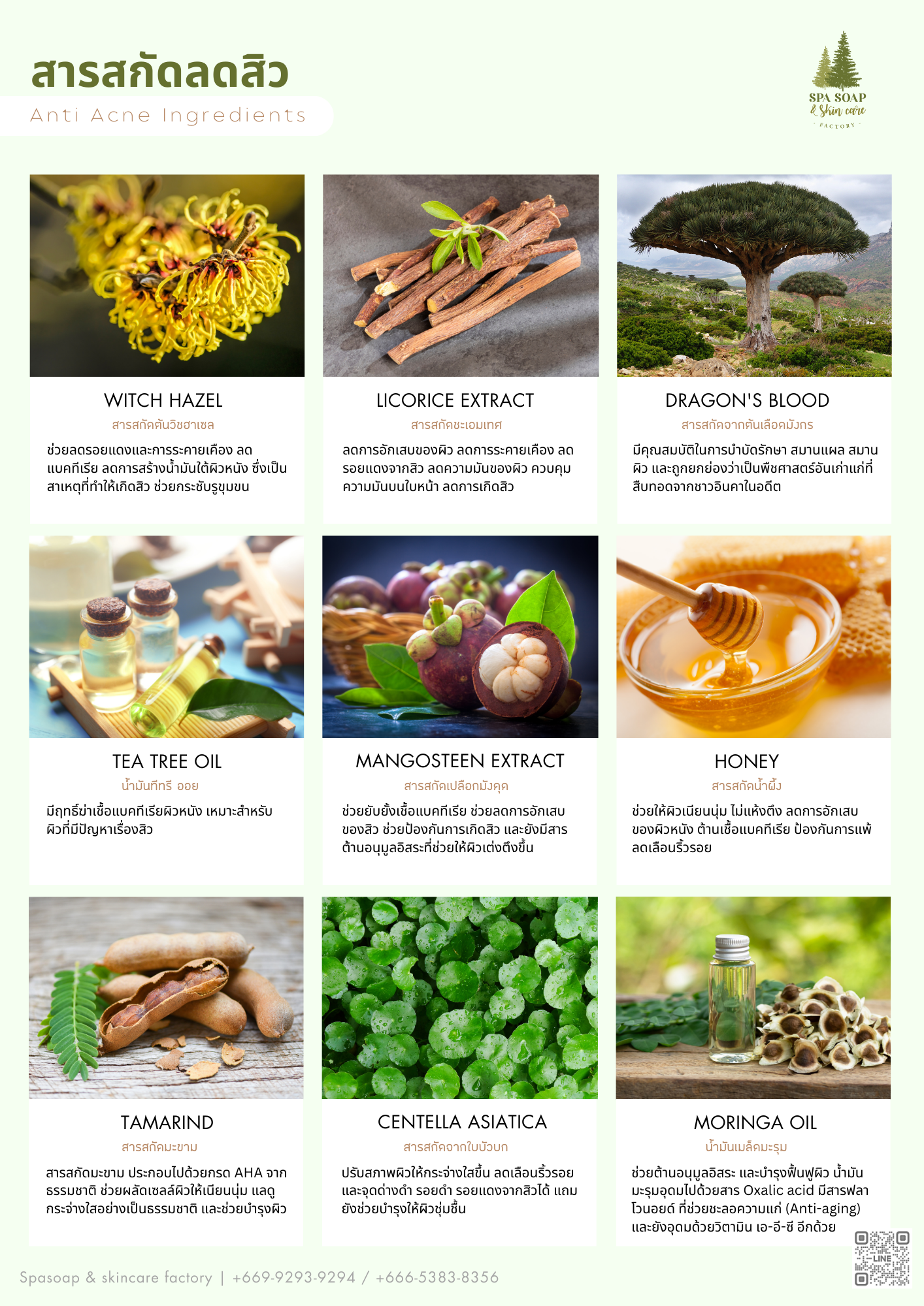 Spasoap & skincare factory ingredients Spasoap & skincare factory ingredients
