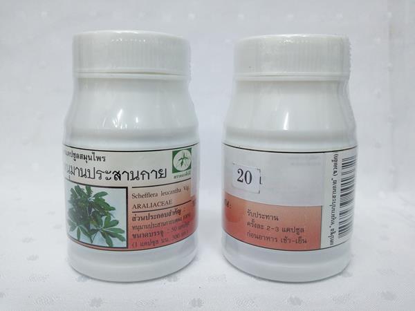 ยาแคปซูลสมุนไพร "หนุมานประสานกาย" บรรจุขวดๆ ละ 50 แคปซูล