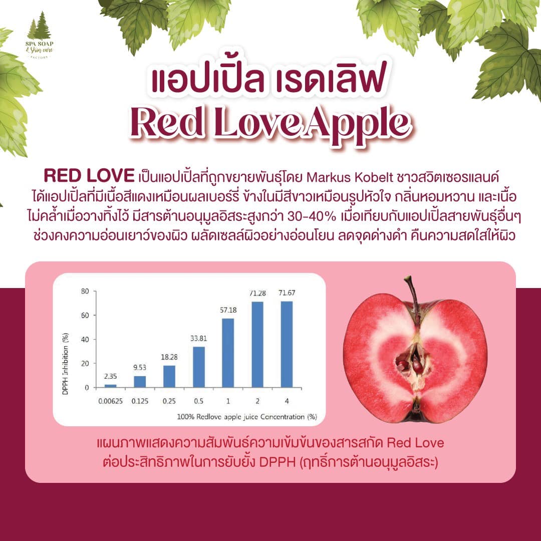 สารสกัดเรดเลิฟ แอปเปิ้ล Red Love Apple Extract