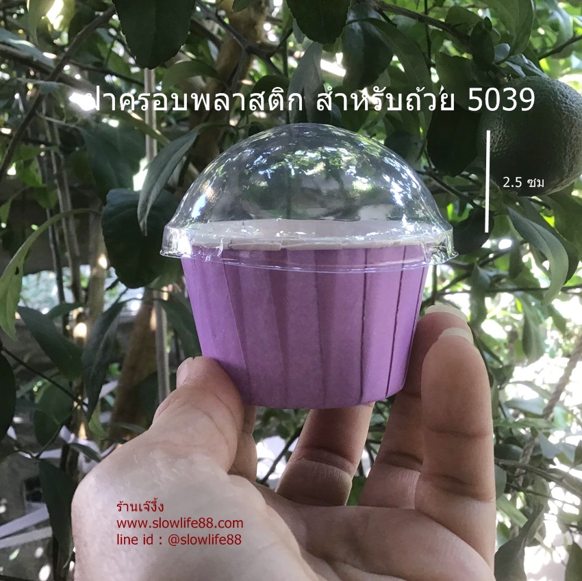 ฝาโดมพลาสติก สำหรับถ้วยคัพเค้ก 5039 แพ็ก 50 ใบ