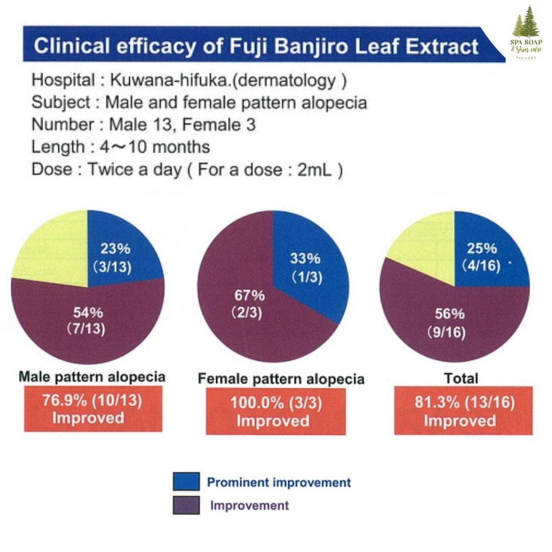 FUJI BANJIRO LEAF EXTRACT