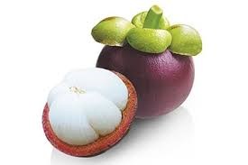 ผงเปลือกมังคุด 50g