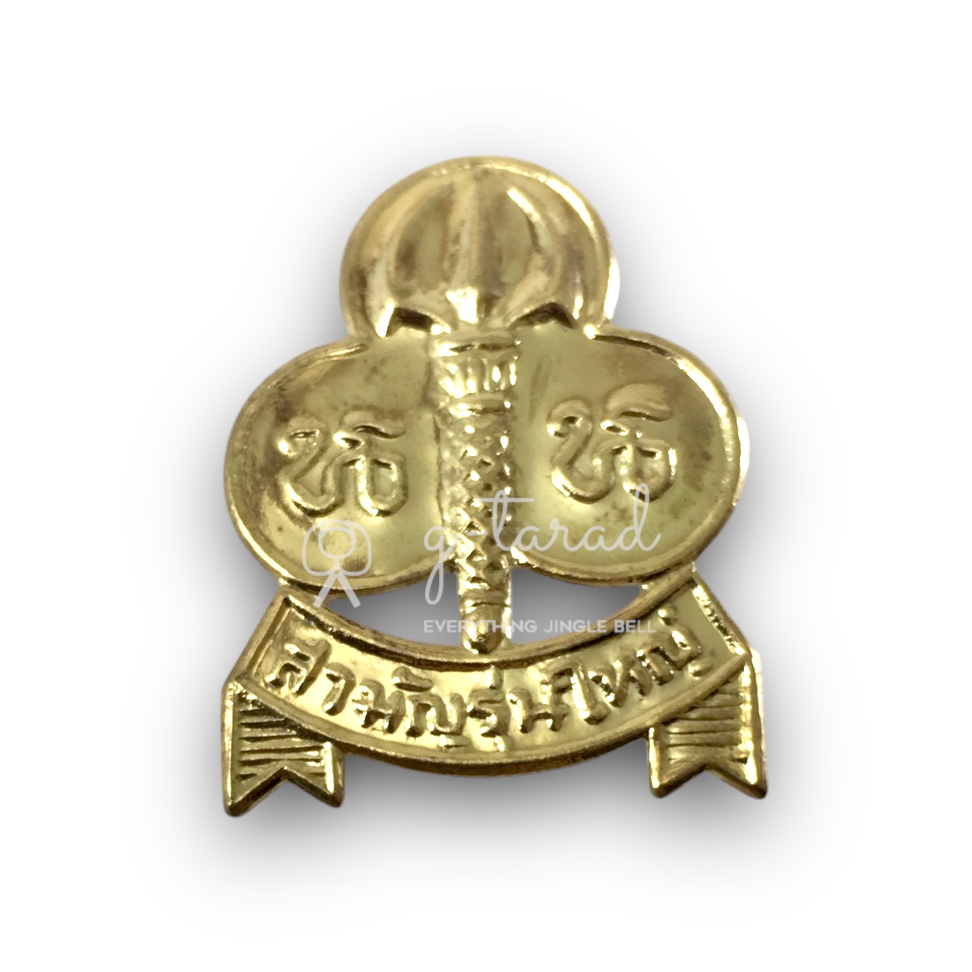 เข็มติดหมวก เข็มติดอก เนตรนารี เนตรนารีเหล่าอากาศ