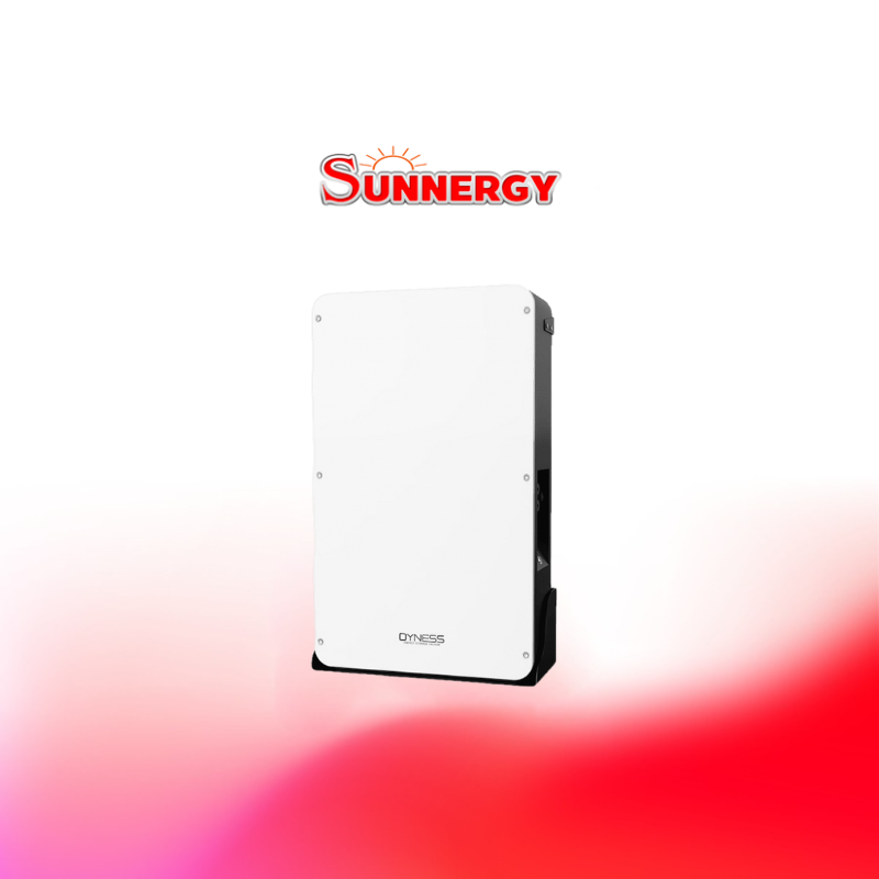 Dyness Battery Dyness Powerbox Pro lithium 51.2 V 200AH, 10.2kwh