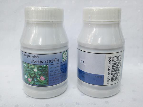 ยาแคปซูลสมุนไพร "แพงพวยฝรั่ง" บรรจุขวดๆ ละ 100 แคปซูล