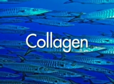 collagen สารสกัดจากปลาทะเล 30g**