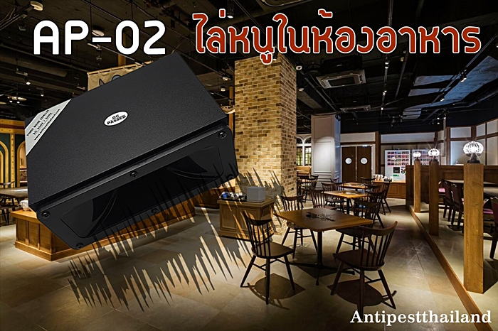 ap02 ไล่หนูในห้องอาหาร