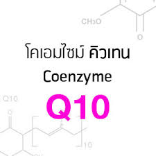 ผงโคเอนไซม์ คิวเทน Coenzyme Q10 powder 10 g