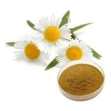 Chamomile Extract Powder ผงคาโมมายด์ 25g 000230