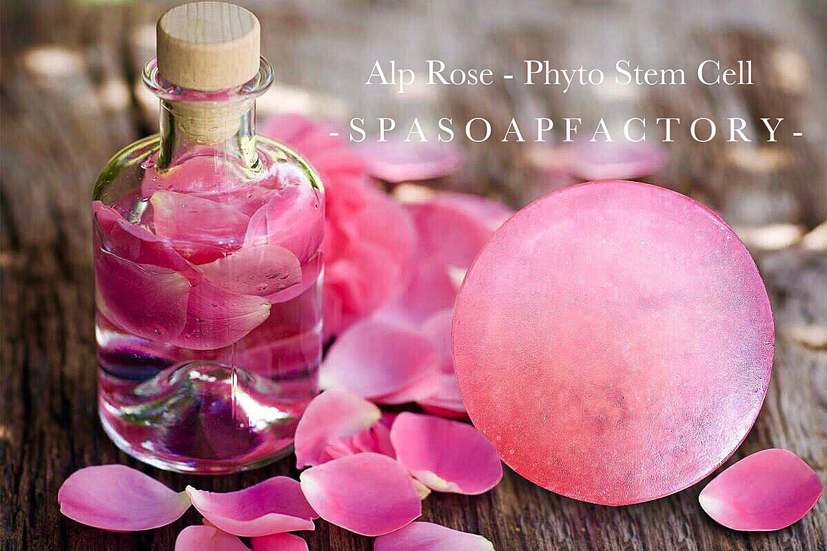 สบู่กุหลาบ Rose Soap