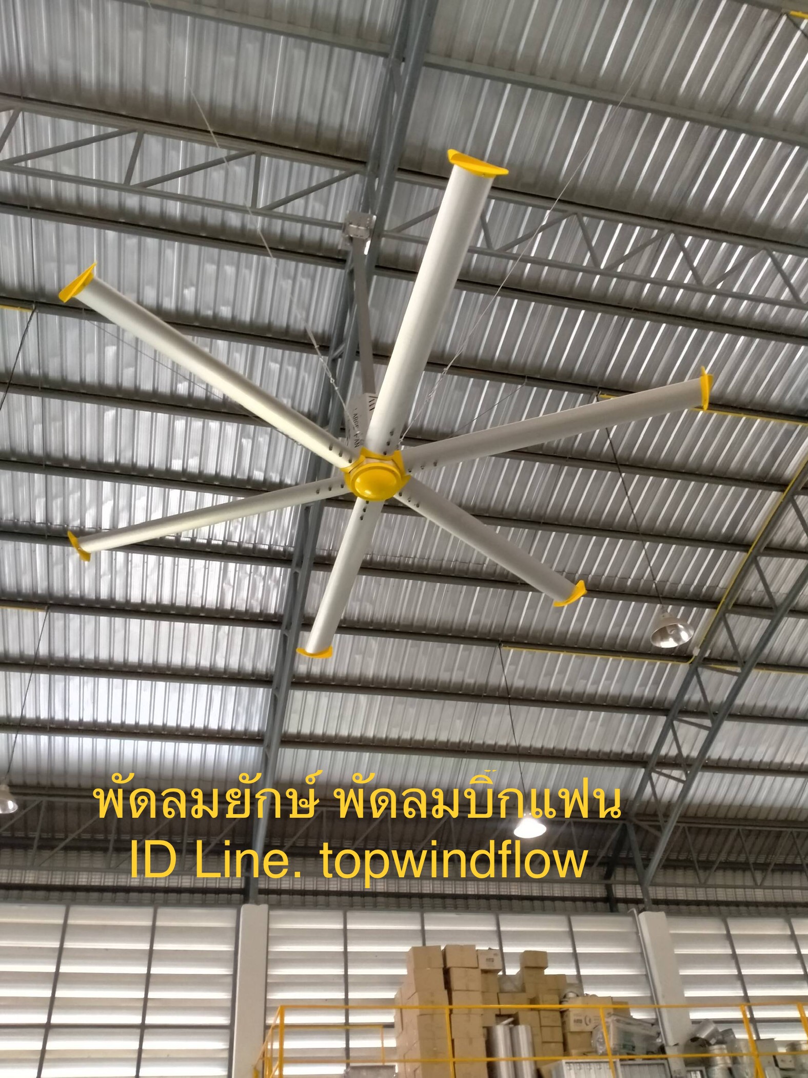 Big Fan ขนาด 7.3M