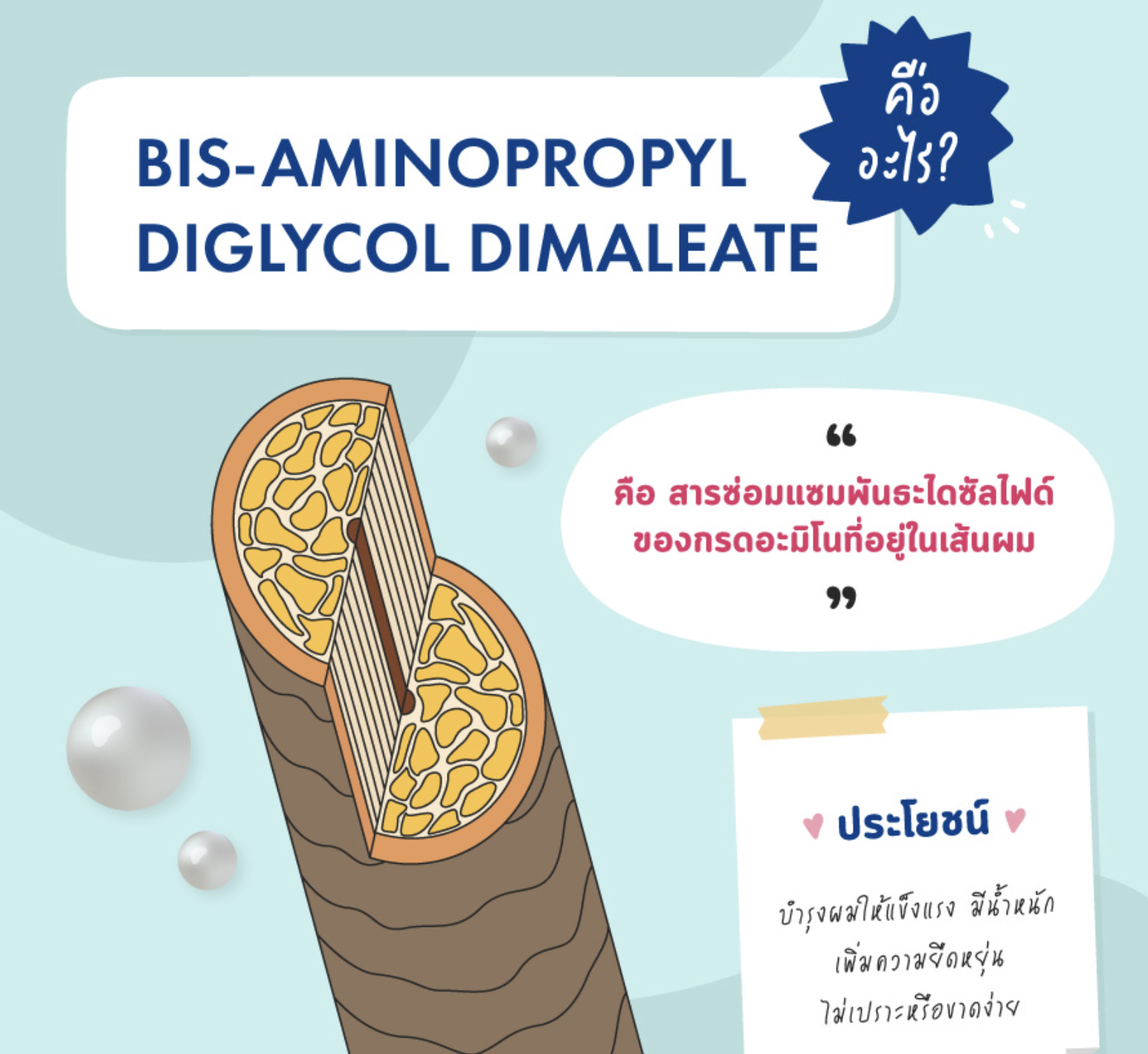 Bis-Aminopropyl Dimethicone สารเคลือบบำรุงให้ผมนุ่ม 50 ml 005665