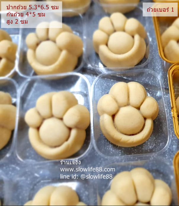 PACK037 ถาดรองเบอร์ 1 ถ้วย 5065