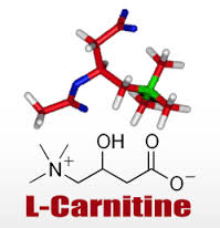 L-Carnitine 50g