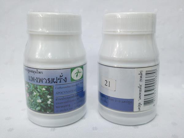 ยาแคปซูลสมุนไพร "แพงพวยฝรั่ง" บรรจุขวดๆ ละ 50 แคปซูล