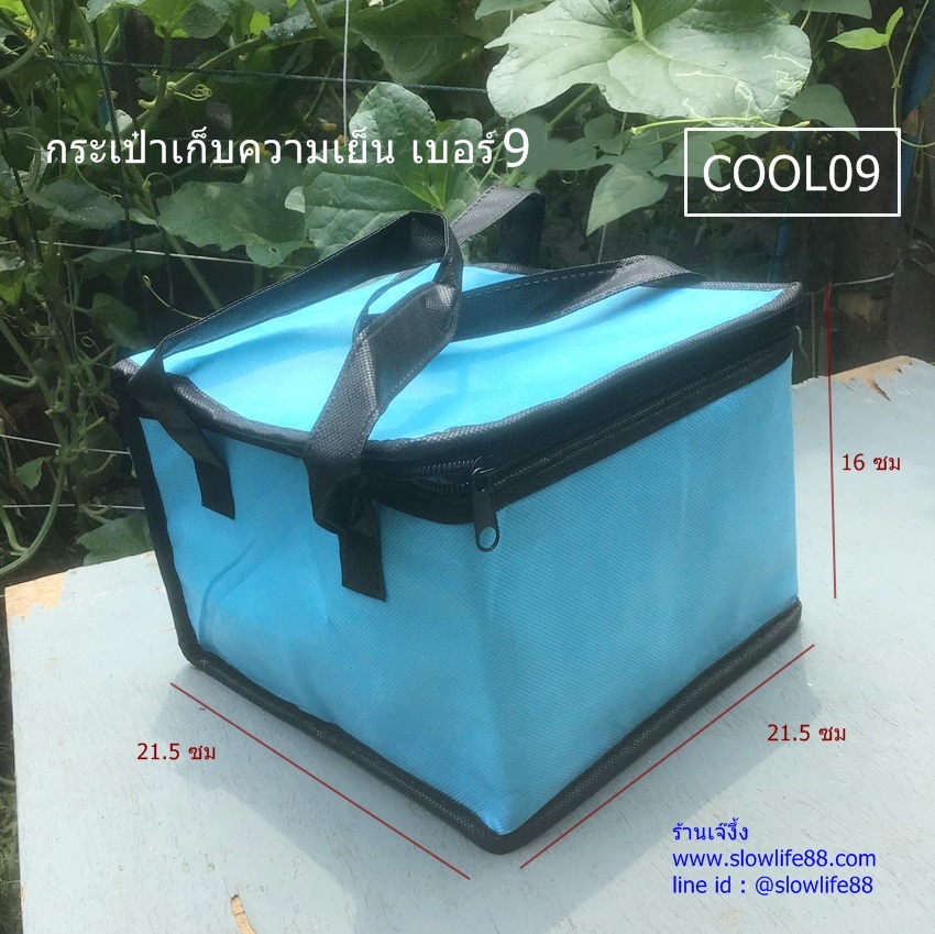 COOL09 ถุงเก็บความเย็น ขนาด 21x21.5x15 ซม