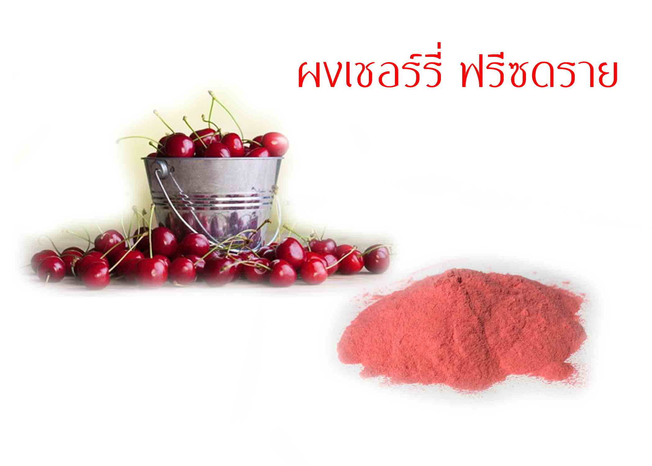 ผงเชอรี่ cherry powder ฟรีซดราย 50 g