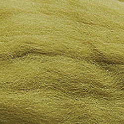 สี J097-The Ecliptic