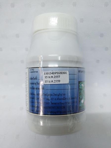 ยาแคปซูลสมุนไพร "แพงพวยฝรั่ง" บรรจุขวดๆ ละ 100 แคปซูล