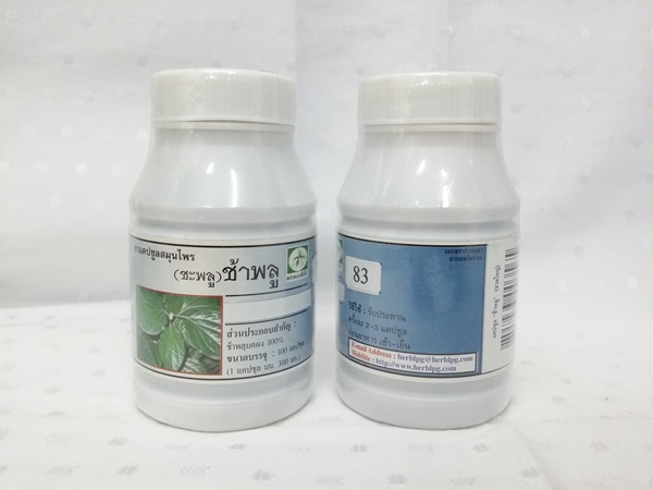 ยาแคปซูลสมุนไพร "ช้าพลู (ชะพลู)" บรรจุขวดๆ ละ 100 แคปซูล