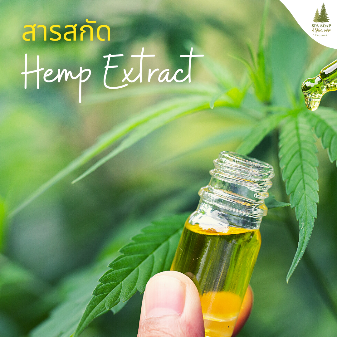สารสกัดกัญชง Hemp Extract