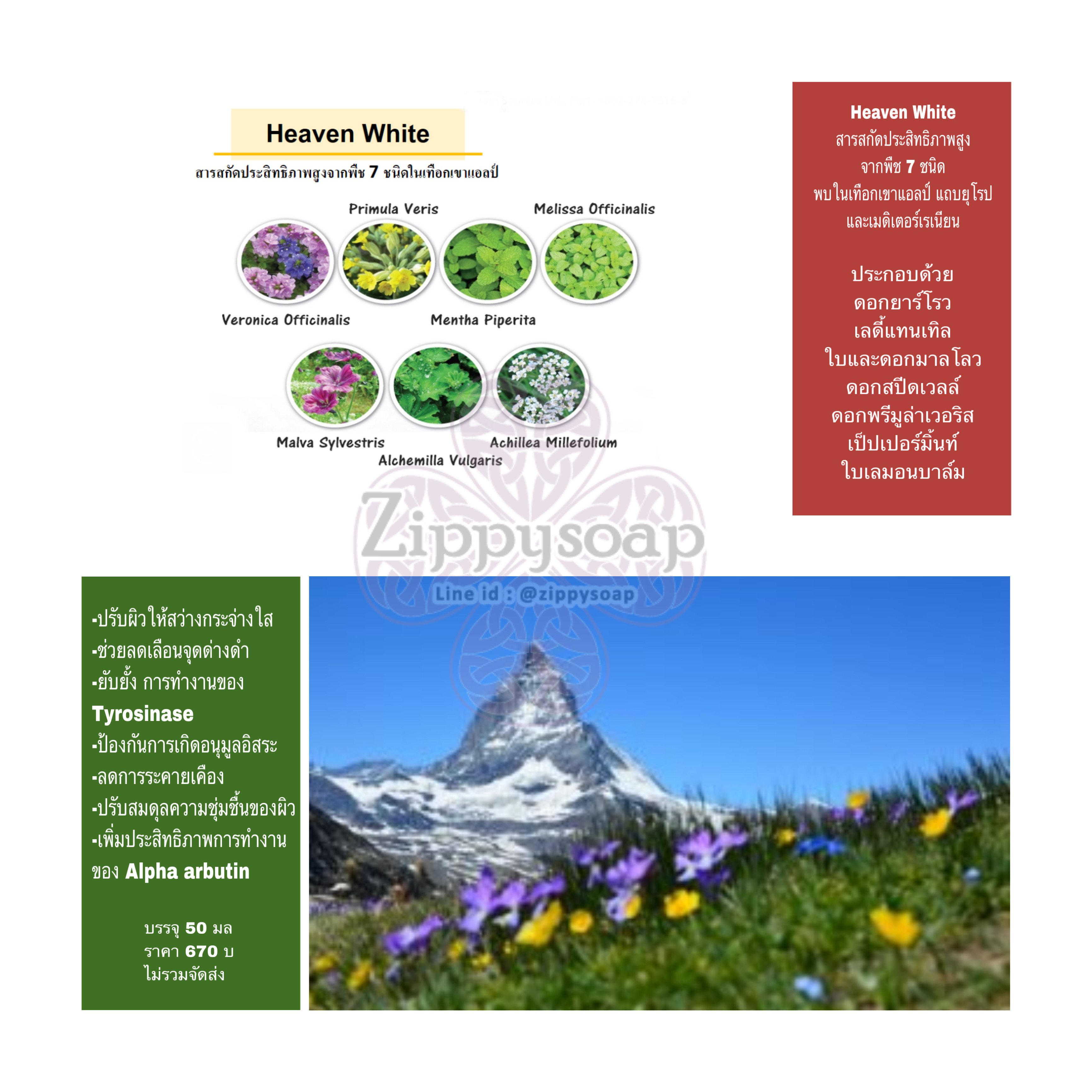 สารสกัด 7-Plant Complex /Heaven white ในเทือกเขาแอลป์ 50 ml