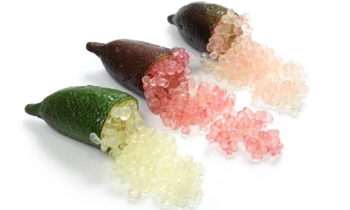 หัวน้ำหอมกลิ่น Caviar Lime 004023
