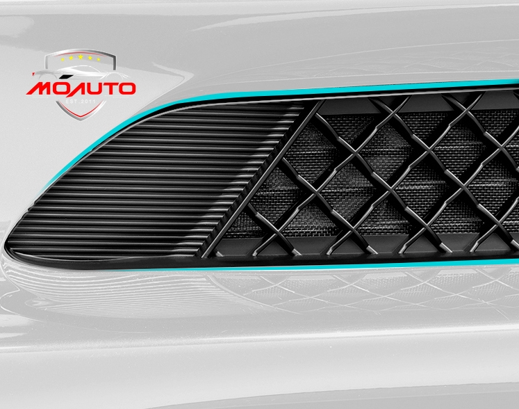 ช่องกระจังหน้าล่าง TESLA MODEL 3 / Y