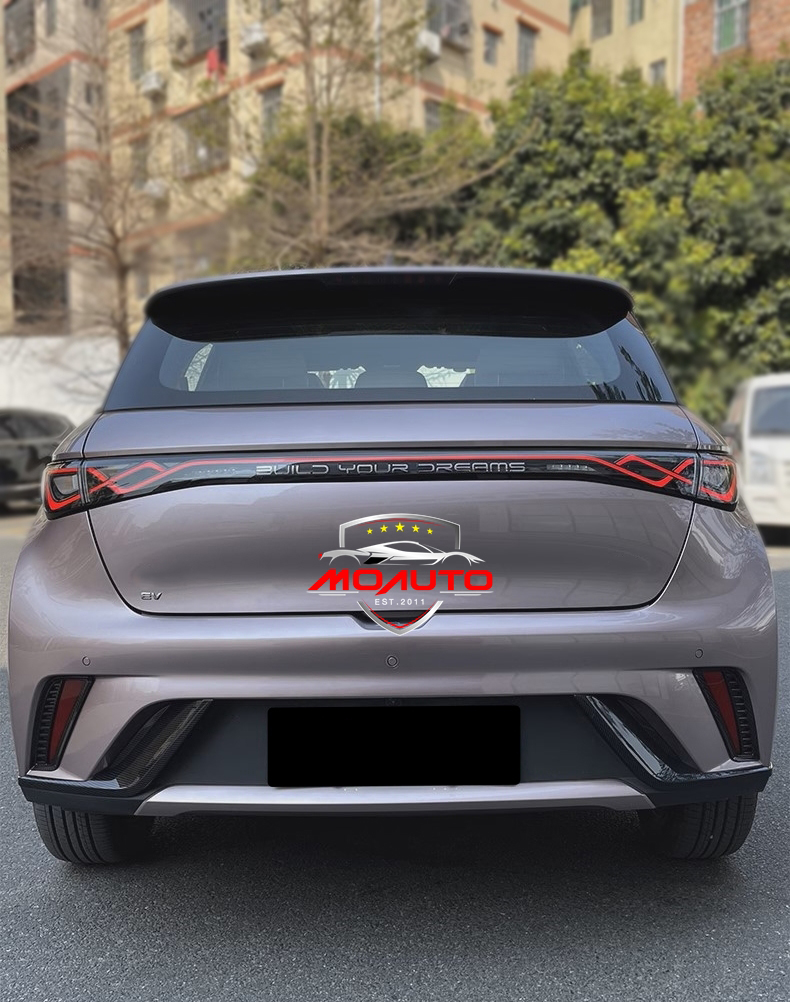 ชุดแต่งคาร์บอนภายนอก BYD DOLPHIN