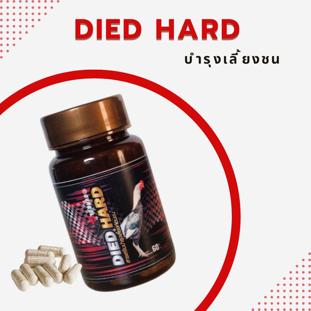 บำรุงเลี้ยงก่อนชน บินดี ตีแรง ยาเลี้ยงชน Died Hard Tornado