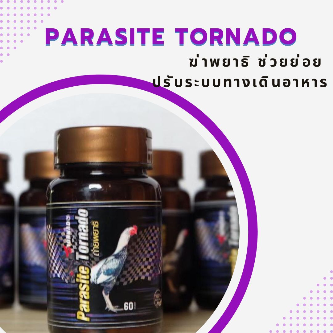 ฆ่าพยพยาธิ ช่วยย่อย ปรับระบบทางเดินอาหารไก่ชน Parasite tornado