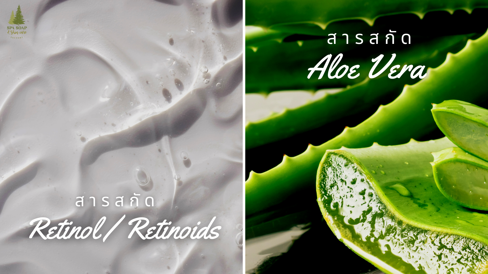 Retinol-Retinoids-Aloe Vera Extract