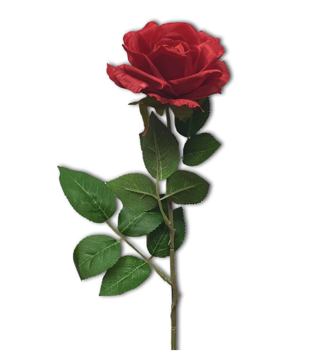 หัวน้ำ หอม กลิ่น Rose flavor powder ละลายน้ำ ใน 50g