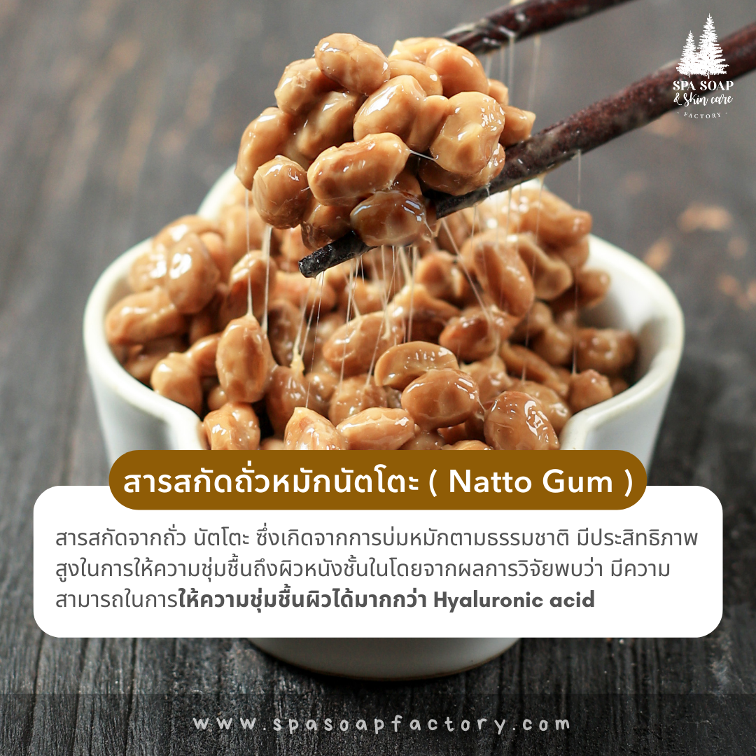 สารสกัดถั่วหมักนัตโตะ - Natto Gum Extract